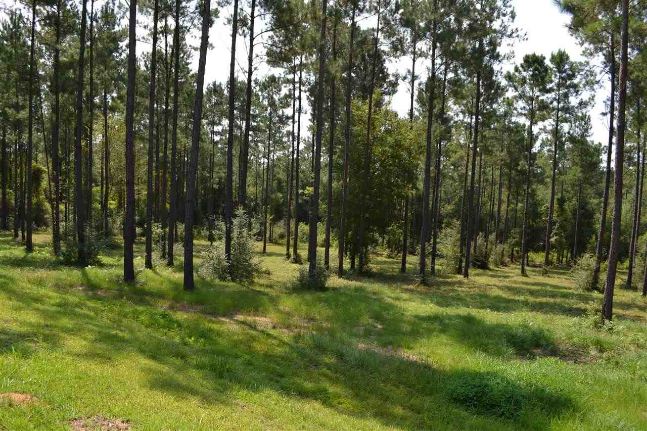 4935 Kolb Road Milton, FL 32570 - Photo 32 of 35