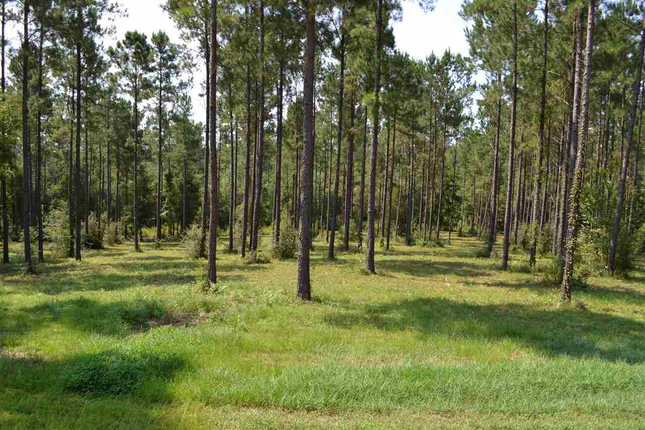 4935 Kolb Road Milton, FL 32570 - Photo 33 of 35