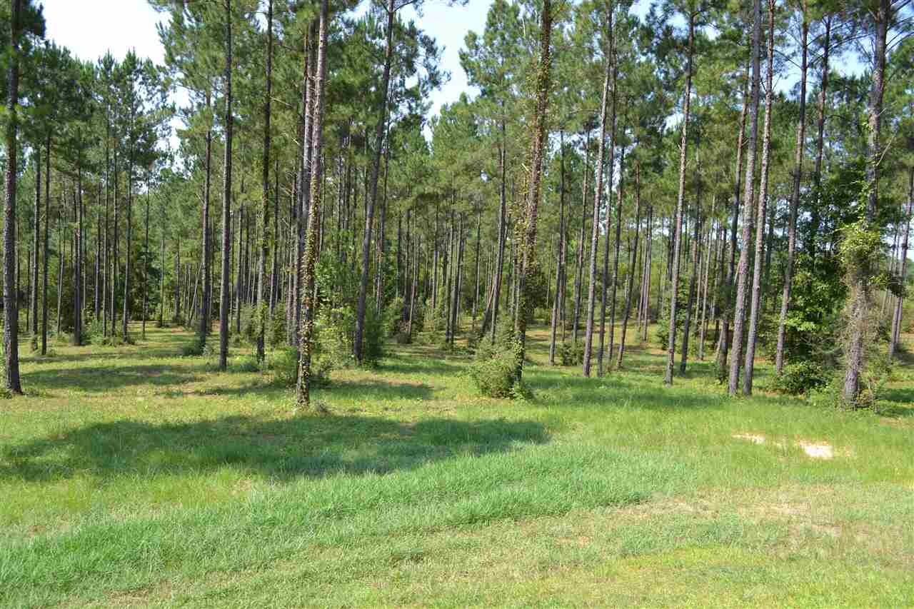 4935 Kolb Road Milton, FL 32570 - Photo 34 of 35