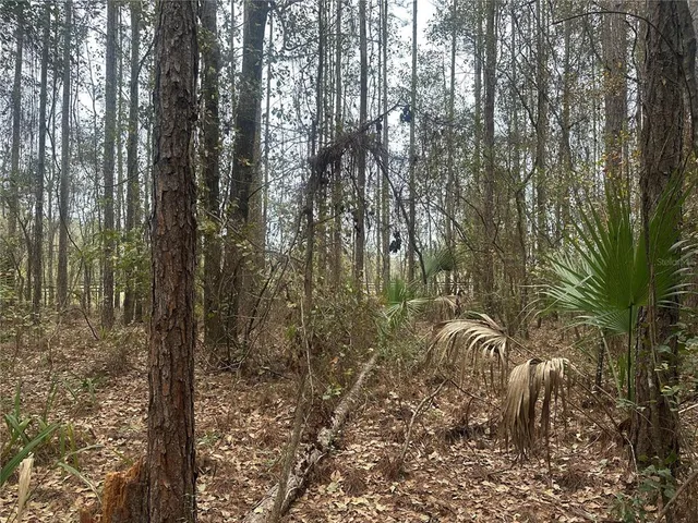 $249,000 | Northwest 170th Street, Reddick, FL 32686