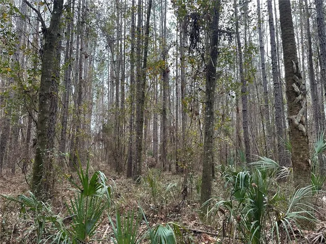 $249,000 | Northwest 170th Street, Reddick, FL 32686