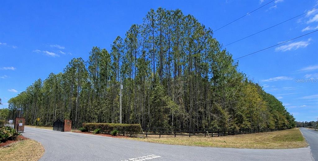 Northwest 170th Street Reddick, FL 32686 - Photo 7 of 9