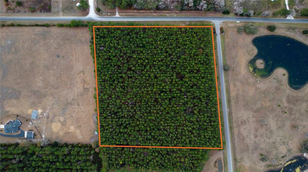 Northwest 170th Street Reddick, FL 32686 - Photo 8 of 9