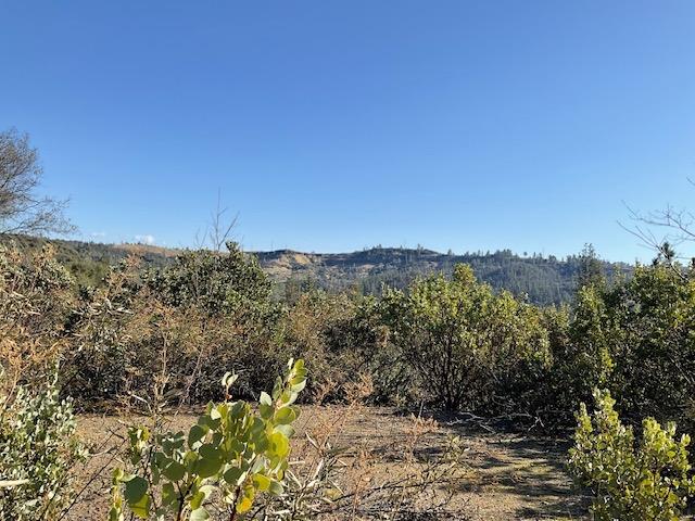 1445 Gallows Road Murphys, CA 95247 - Photo 3 of 11 Gallery Image 3
