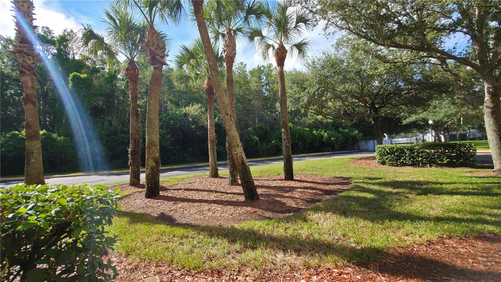 3611 Conroy Road, Unit 818 Orlando, FL 32839 - Photo 42 of 44 Gallery Image 42