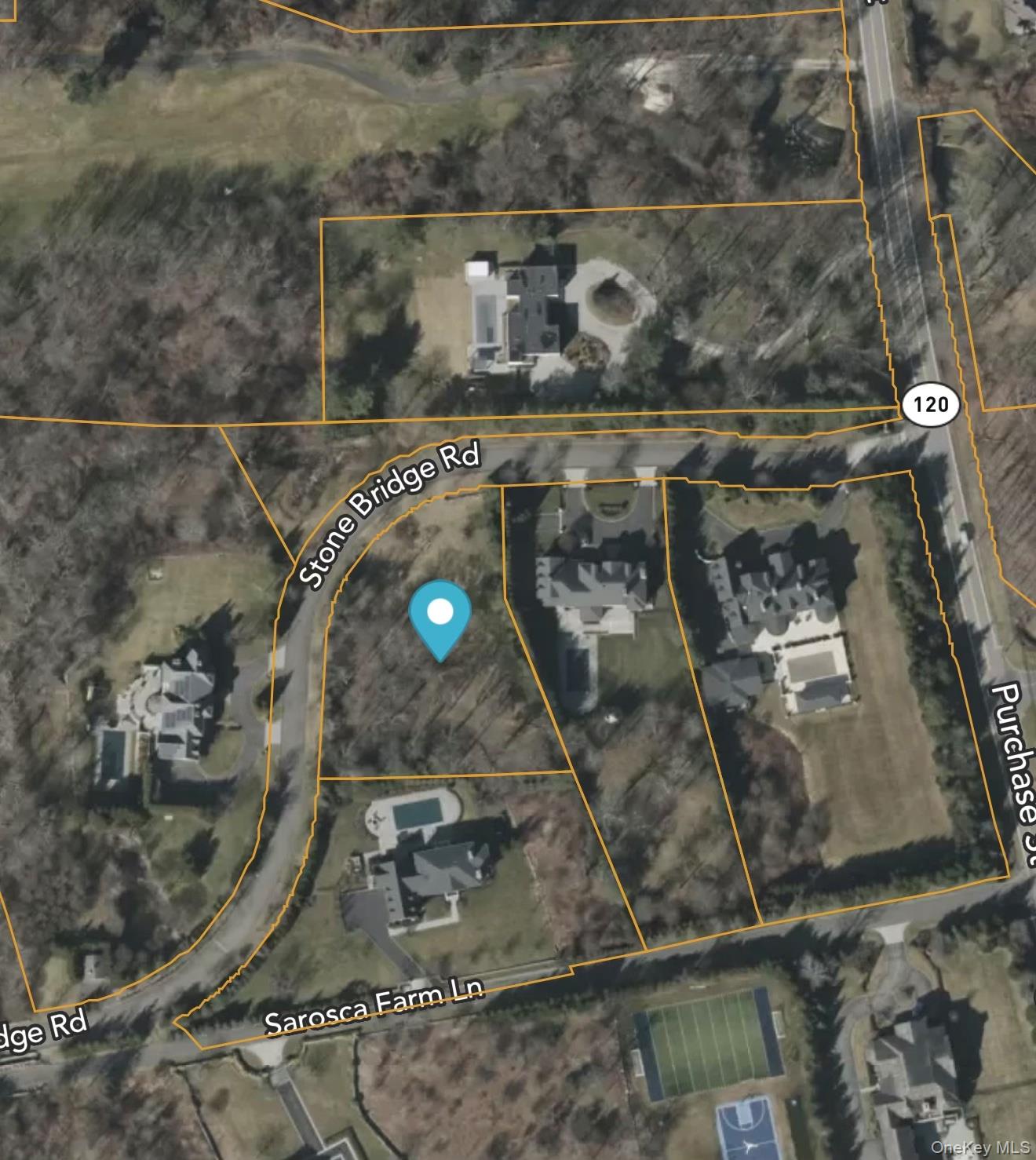 5 Stone Bridge Road Purchase, NY 10577 - Photo 5 of 9