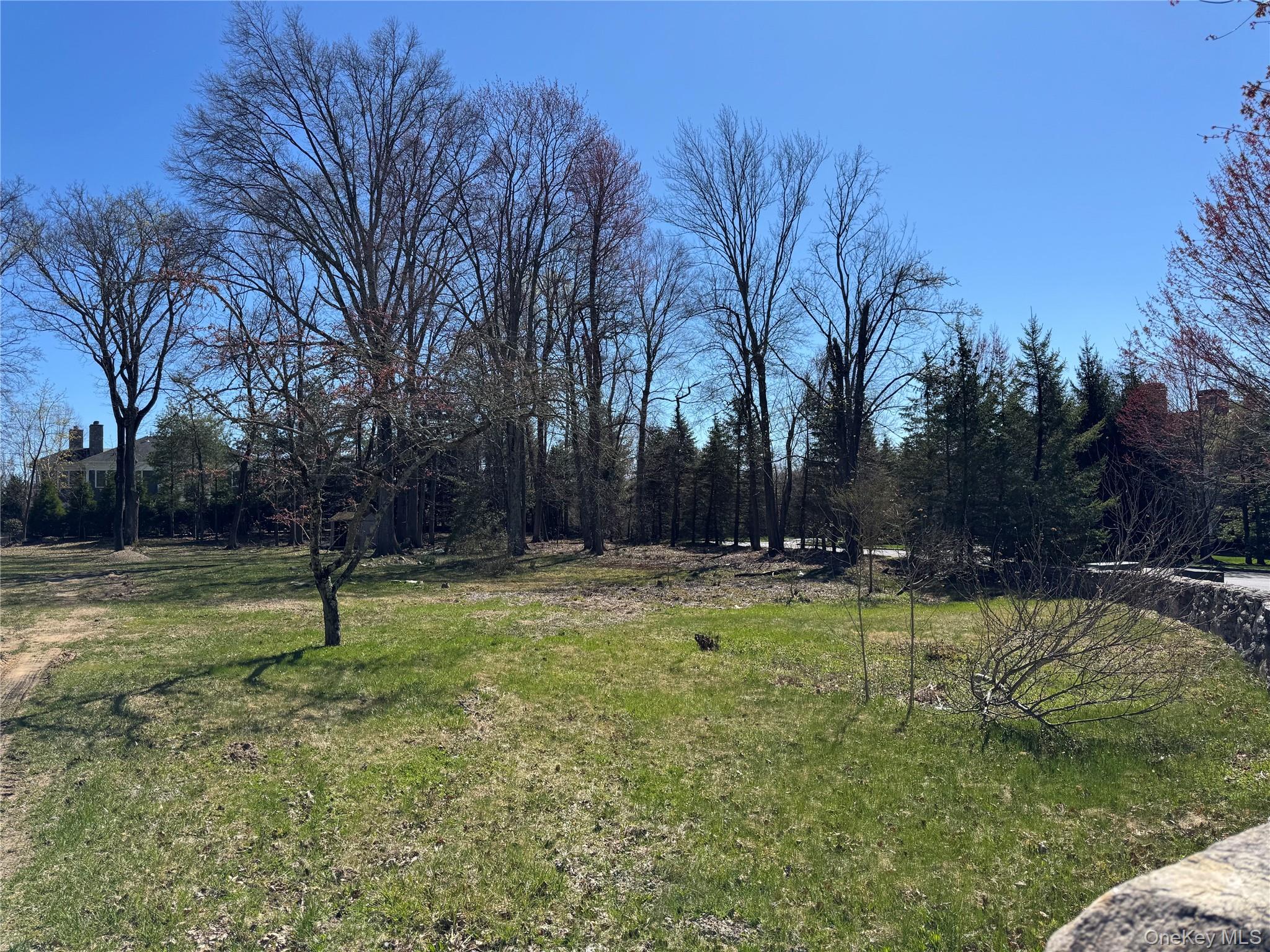 5 Stone Bridge Road Purchase, NY 10577 - Photo 6 of 9