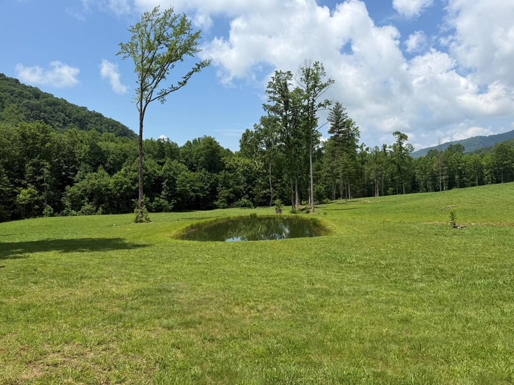 1446 Muskrat Creek Road Hayesville, NC 28904 - Photo 62 of 108