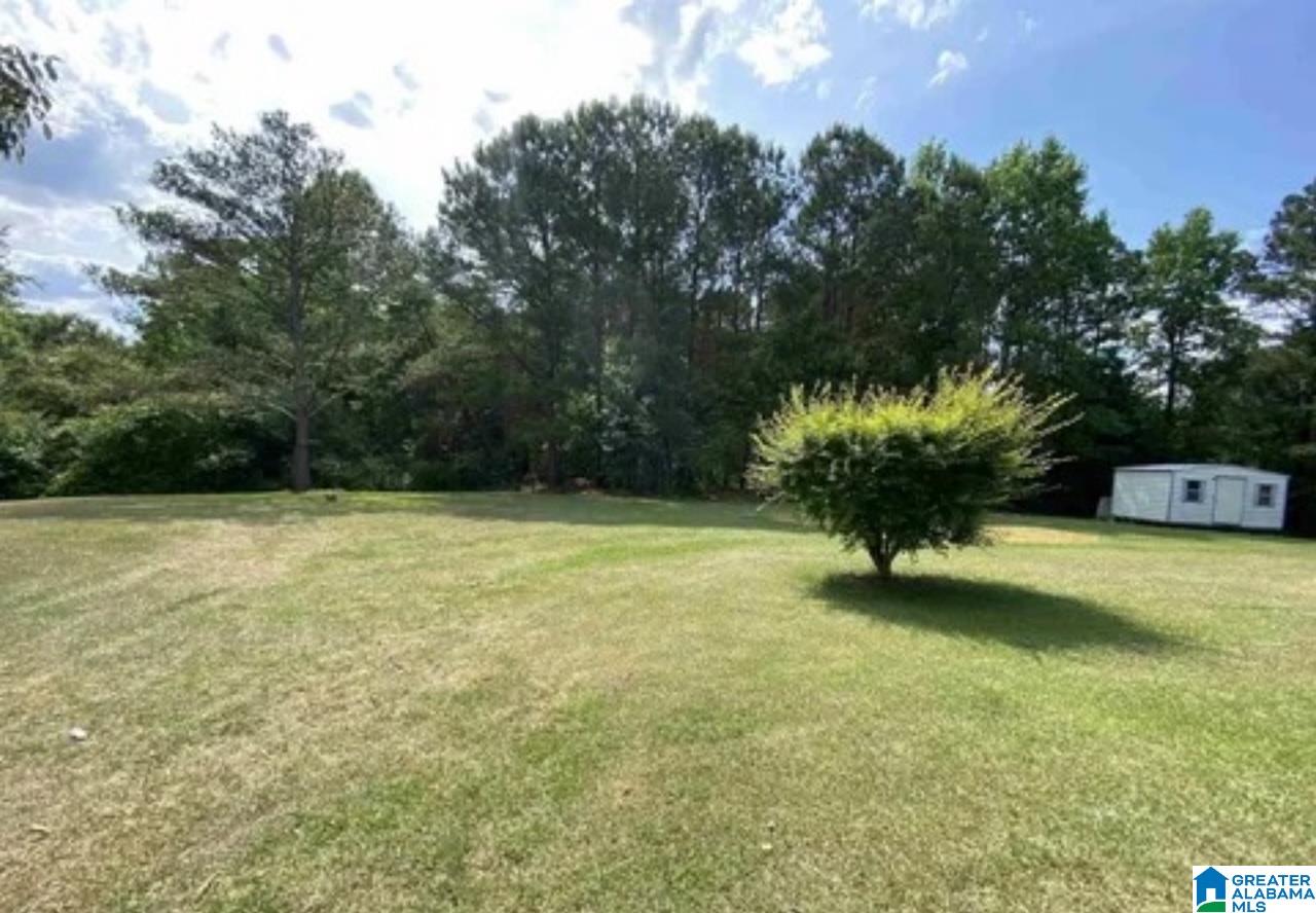 5043 Jim Goggans Road Dora, AL 35062 - Photo 25 of 29