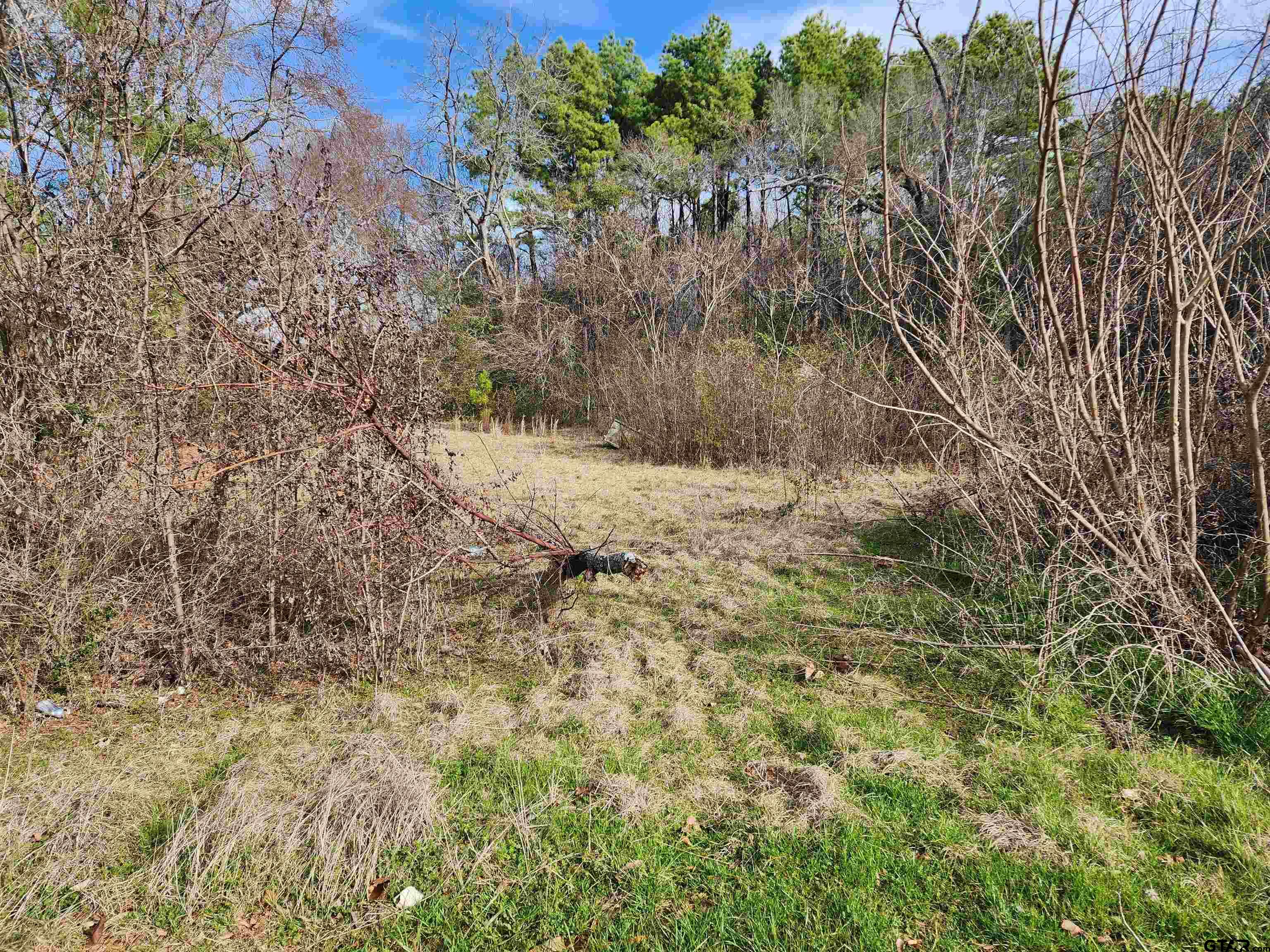 Tbd Fredonia Kilgore, TX 75662 - Photo 4 of 6