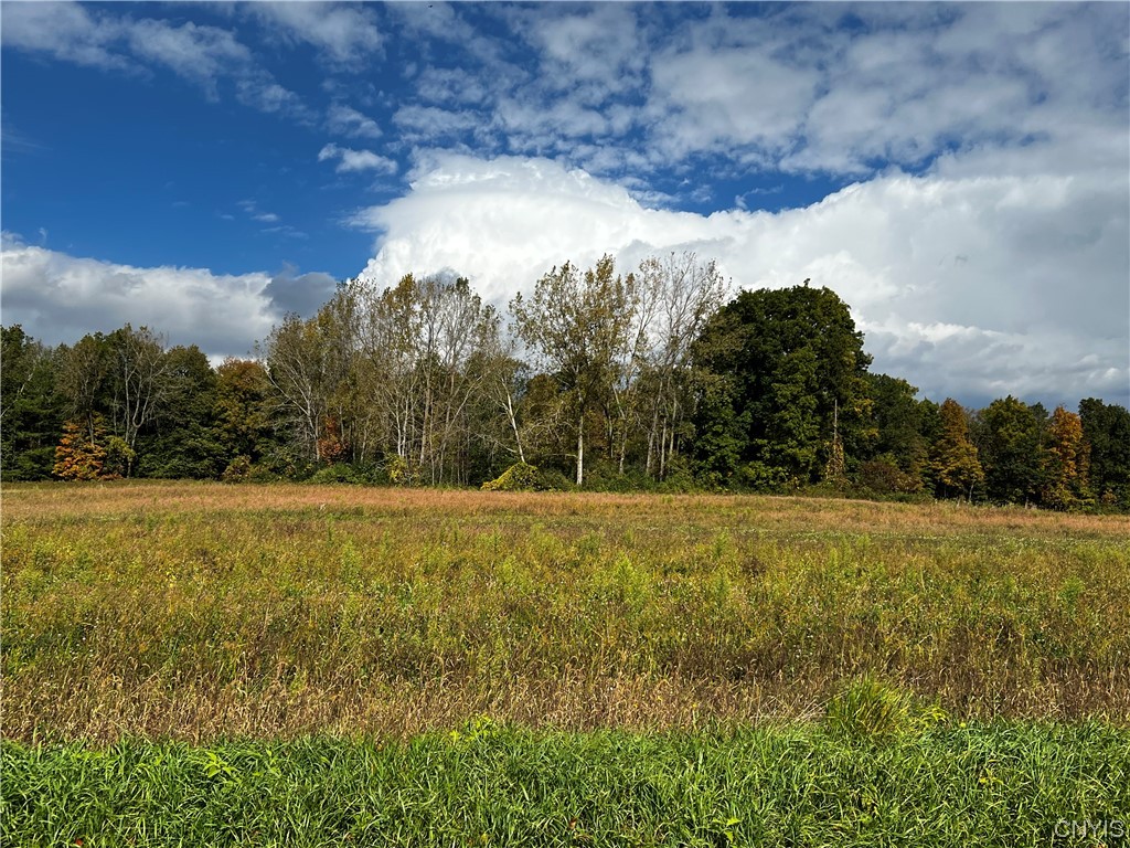 Lot 2 Sprague Road Memphis, NY 13112 - Photo 1 of 1