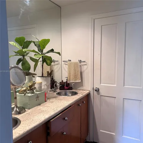a bathroom with a sink a mirror and a potted plant