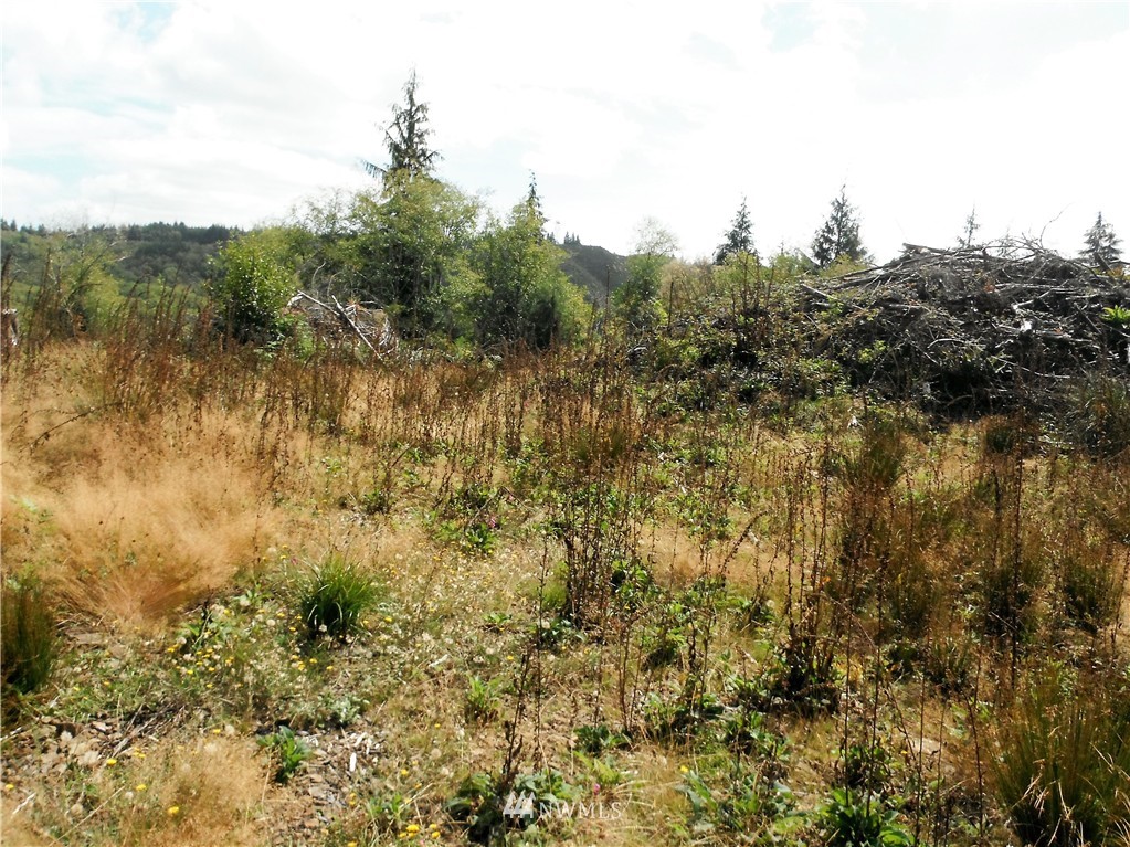 0 Bighill Road Naselle, WA 98638 - Photo 2 of 10 Gallery Image 2