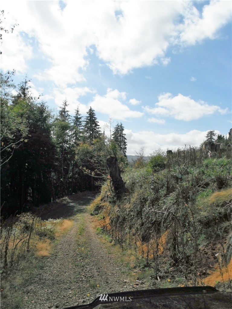 0 Bighill Road Naselle, WA 98638 - Photo 9 of 10 Gallery Image 9