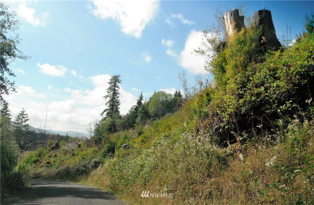 0 Bighill Road Naselle, WA 98638 - Photo 10 of 10 Gallery Image 10