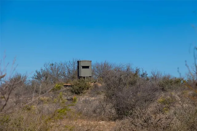 a view of a dry yard with trees