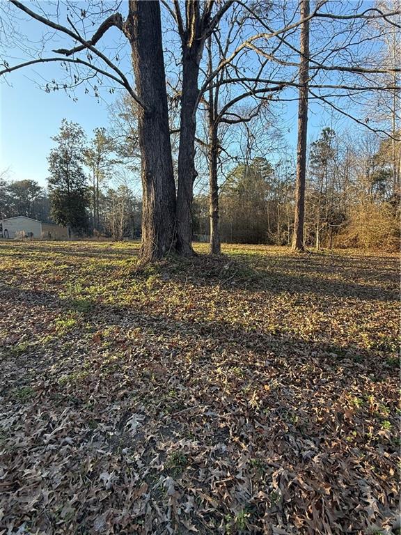 62253 Paige Road Bogalusa, LA 70427 - Photo 29 of 31