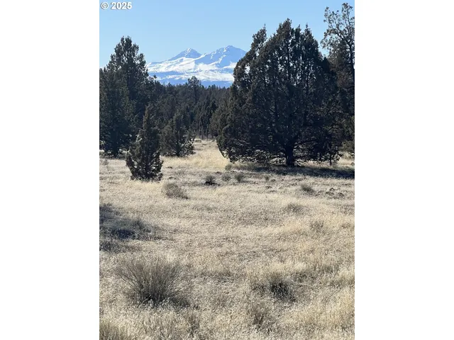 a view of a backyard of the house