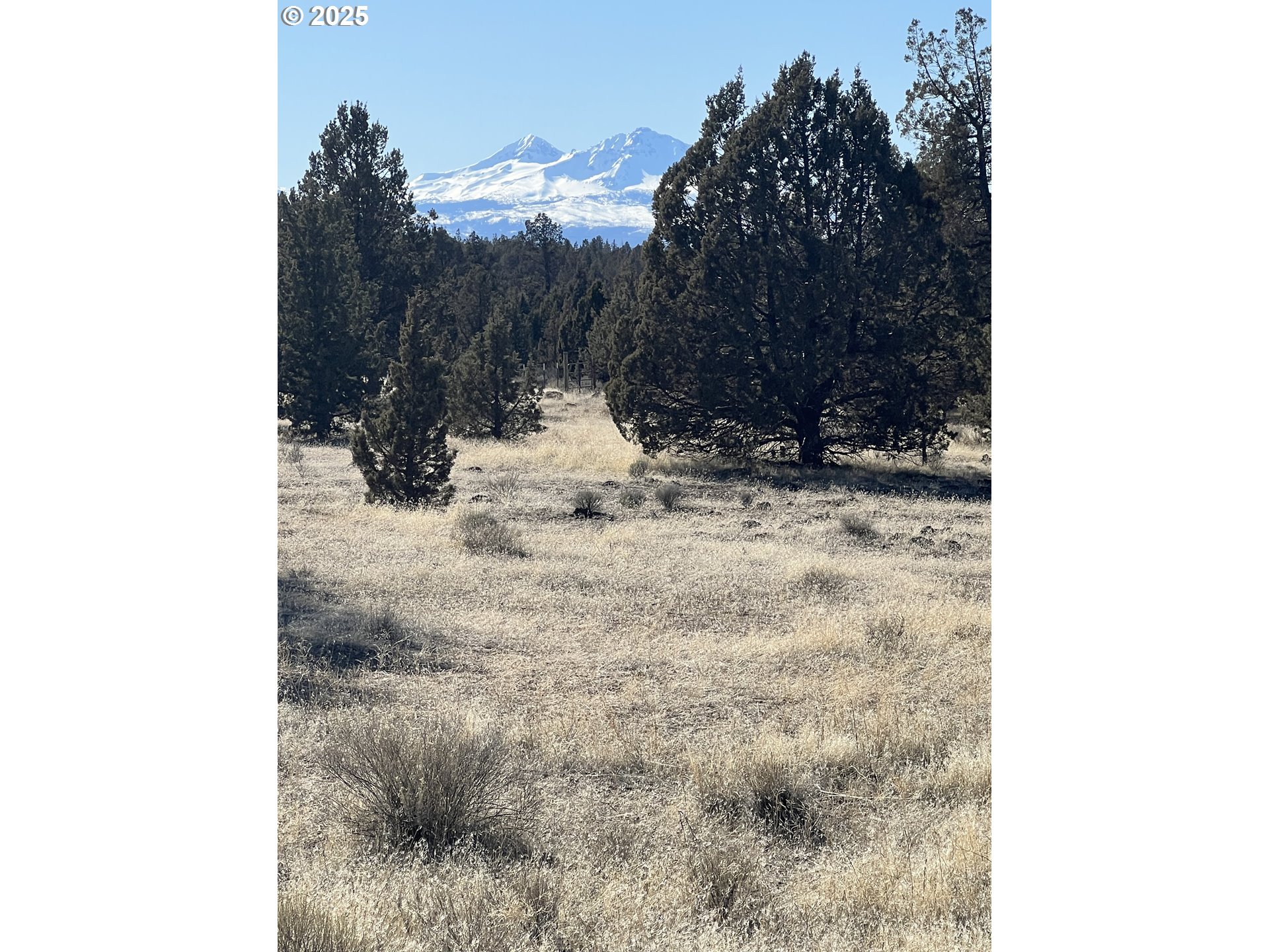 a view of a backyard of the house