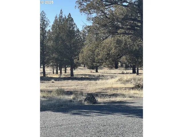 a view of a yard covered with snow in the background