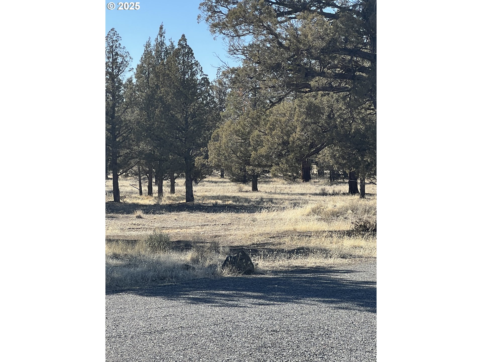 69380 Buckhorn Road Redmond, OR 97756 - Photo 11 of 25 a view of swimming pool with tree s