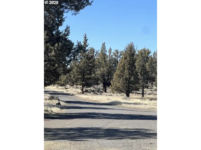a view of white house and tree next to a road