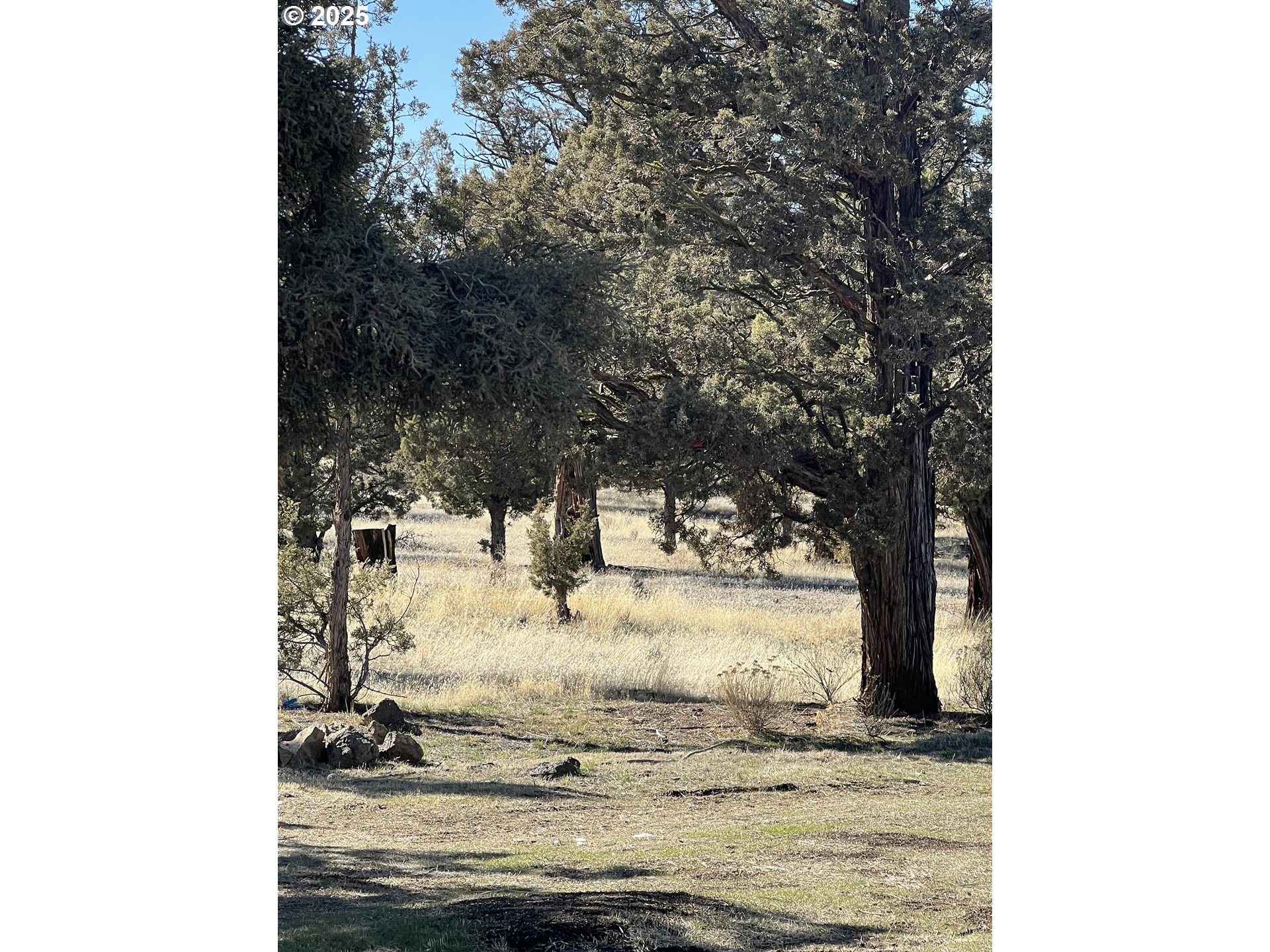 69380 Buckhorn Road Redmond, OR 97756 - Photo 8 of 25 a view of ocean view