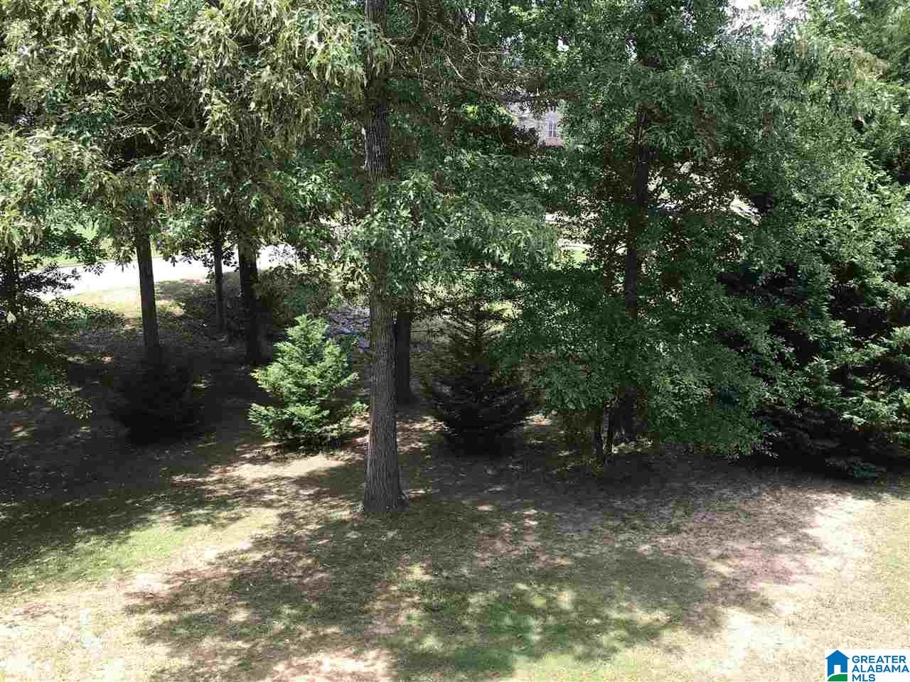 332 Deer Ridge Lane Chelsea, AL 35043 - Photo 32 of 39