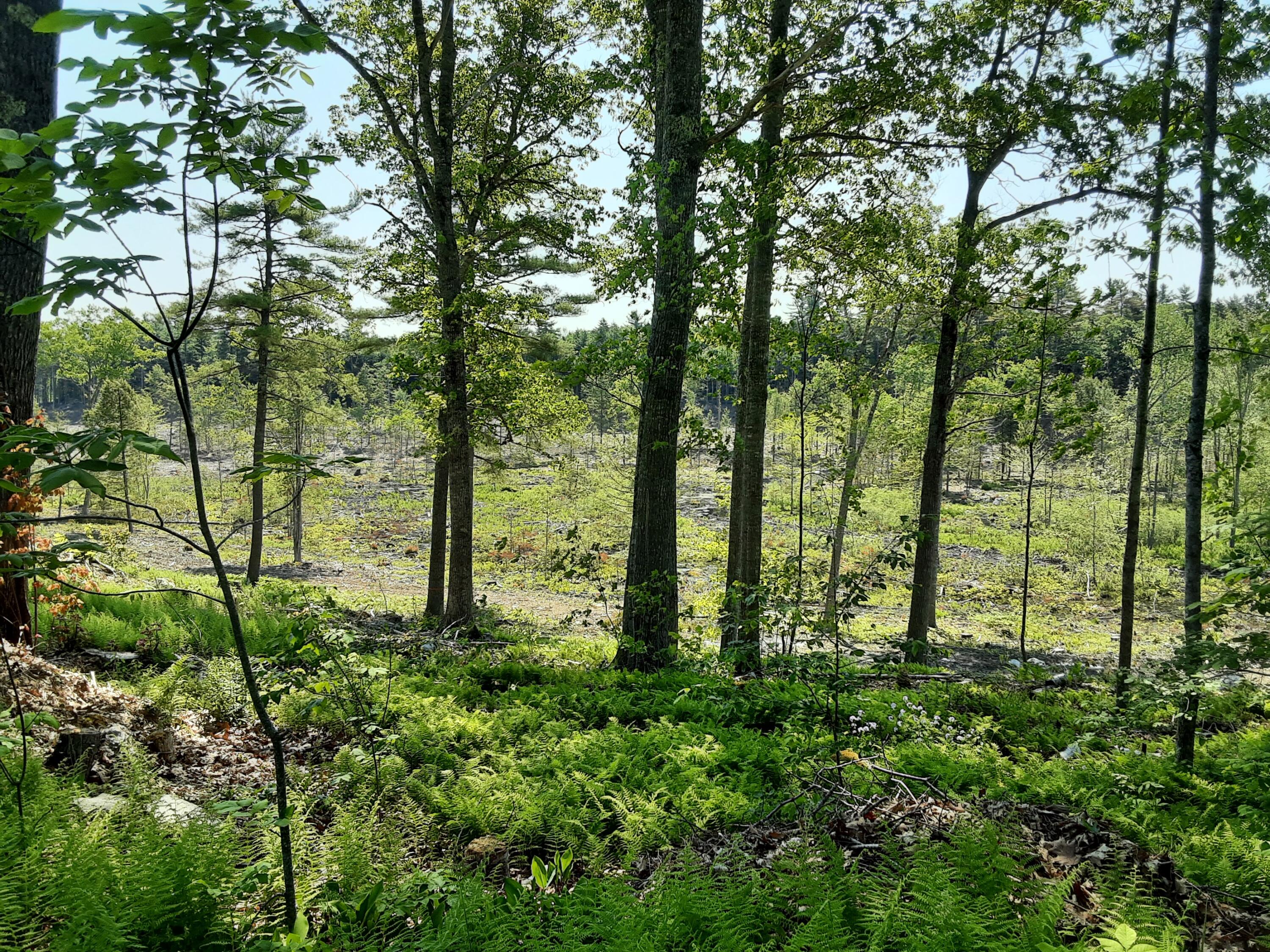 300 Jones Road Somerville, ME 04348 - Photo 26 of 26 20250611_104208