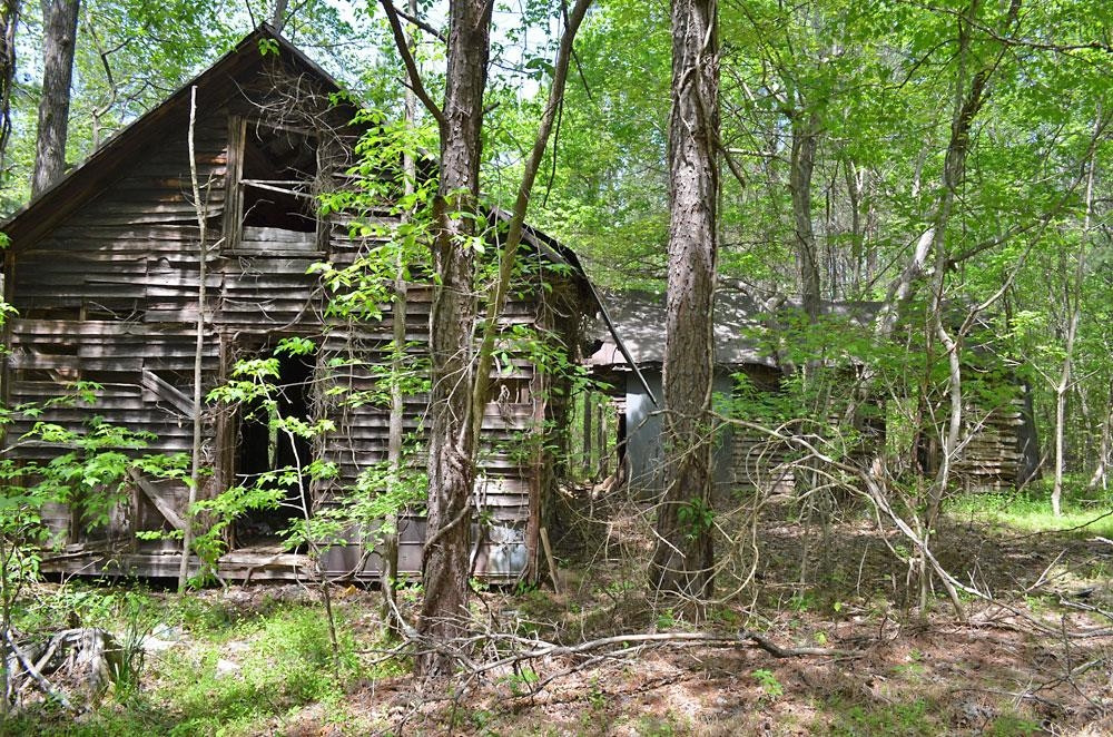 3760 Old Allensville Road Roxboro, NC 27574 - Photo 4 of 7 Photo 4