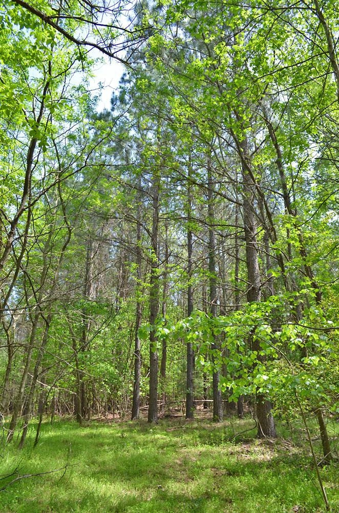 3760 Old Allensville Road Roxboro, NC 27574 - Photo 5 of 7 Photo 5