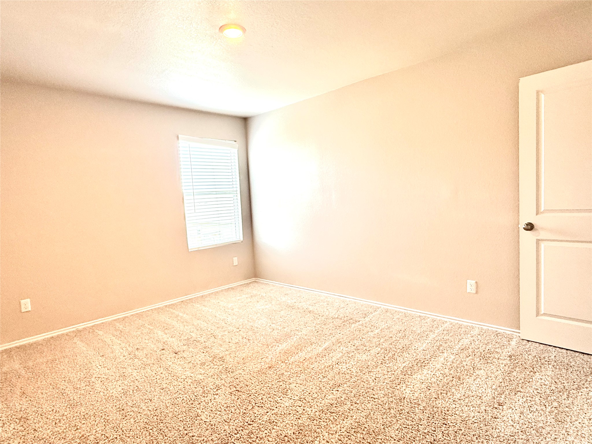 129 Perfect World Loop Jarrell, TX 76537 - Photo 25 of 31 A well-lit bedroom features plush carpeting and a convenient window.
