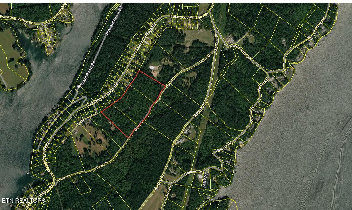 665 Lakewood Village Road Spring City, TN 37381 - Photo 2 of 8 Estimated Lot Lines