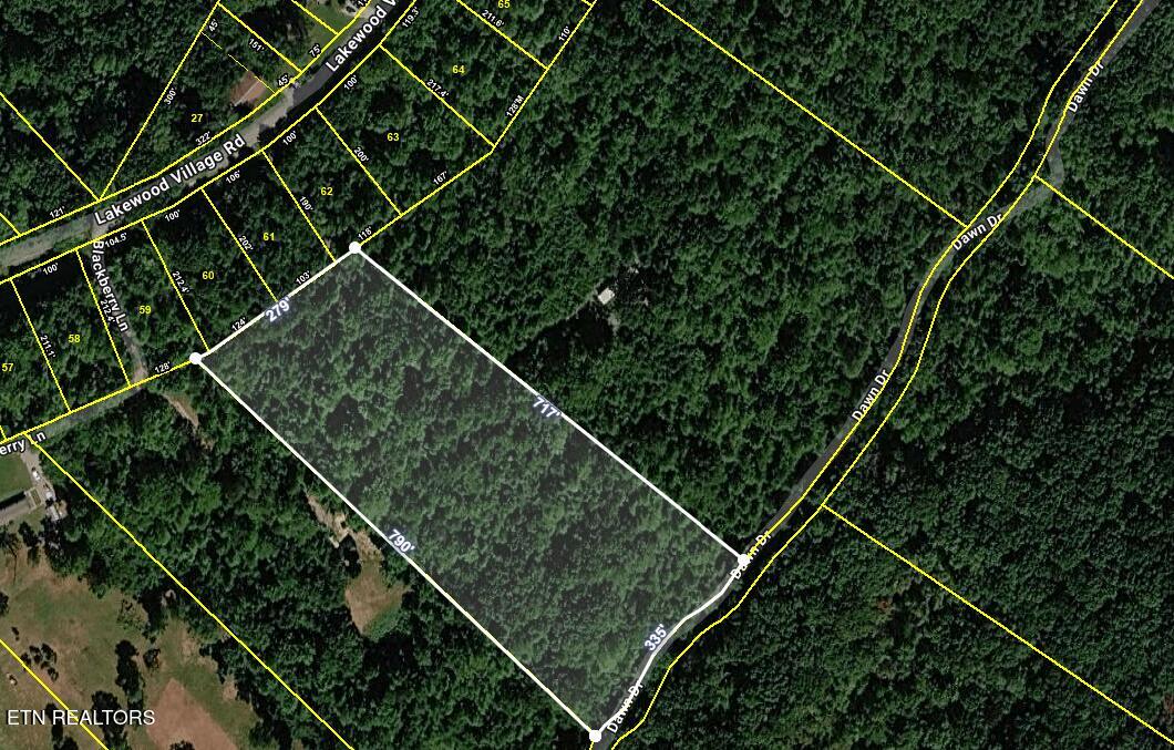 665 Lakewood Village Road Spring City, TN 37381 - Photo 3 of 8 Parcel 032-062.25