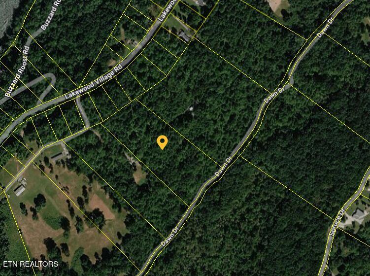 665 Lakewood Village Road Spring City, TN 37381 - Photo 4 of 8 Parcel 032-062.25