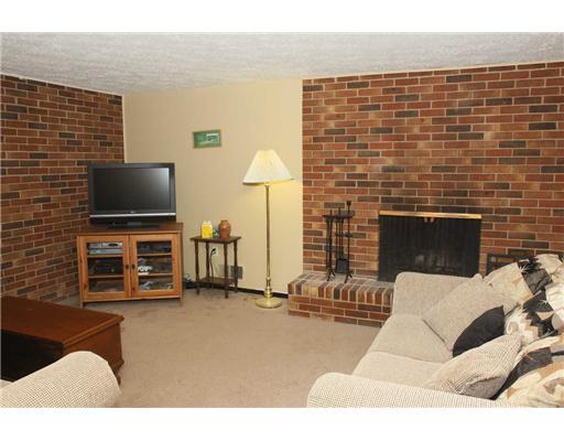 108 North Jamestown Road Coraopolis, PA 15108 - Photo 16 of 18 Den/Family/Great Room. Lower Level Finished Game Room - log burning fireplace