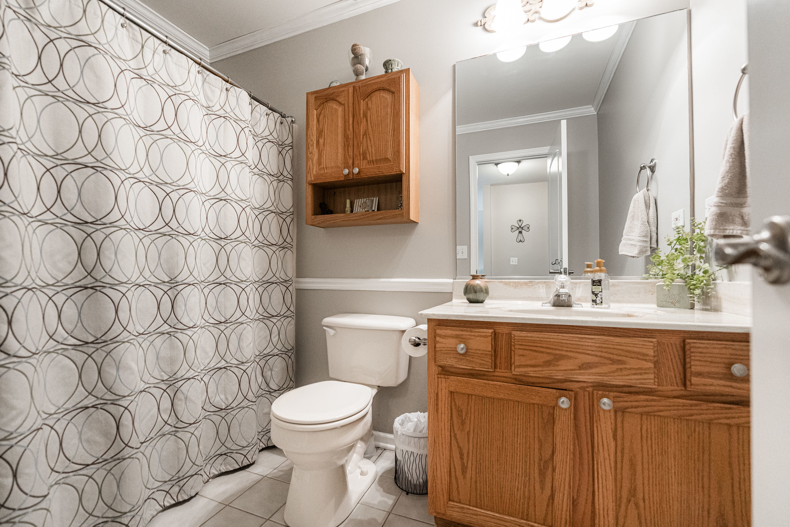 816 Springbrook Lane Bolingbrook, IL 60490 - Photo 21 of 29