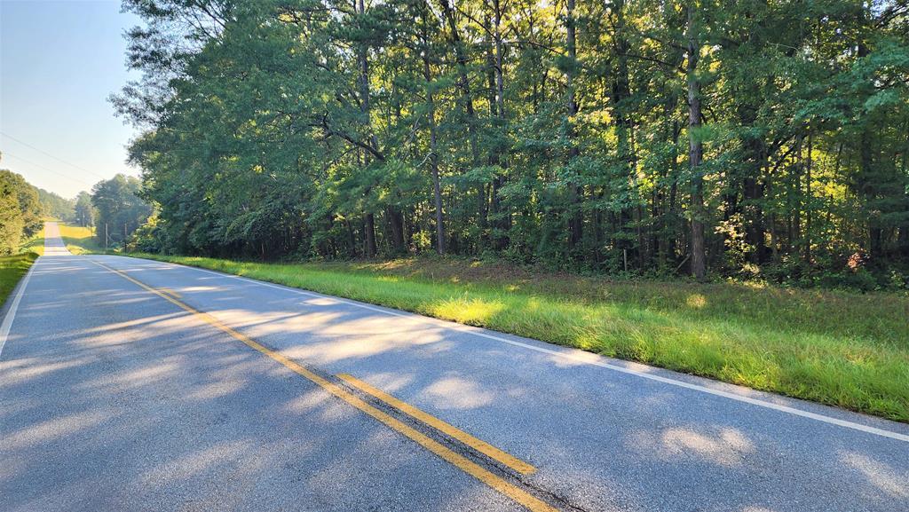 Lot Size Lot Size Road Hamilton, GA 31811 - Photo 21 of 23 Gallery Image 21