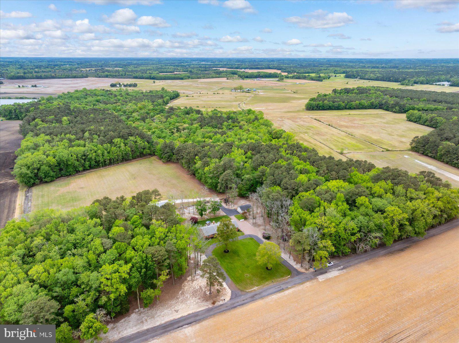 33915 Shockley Road Parsonsburg, MD 21849 - Photo 125 of 125 Expansive countryside retreat awaits.