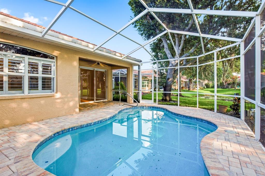 3857 Timber Ridge Court Palm Harbor, FL 34685 - Photo 35 of 56