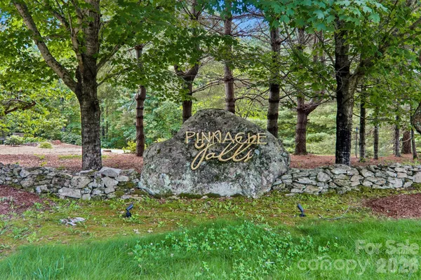 $59,900 | 11 Magnolia Branch Drive, Zirconia, NC 28790