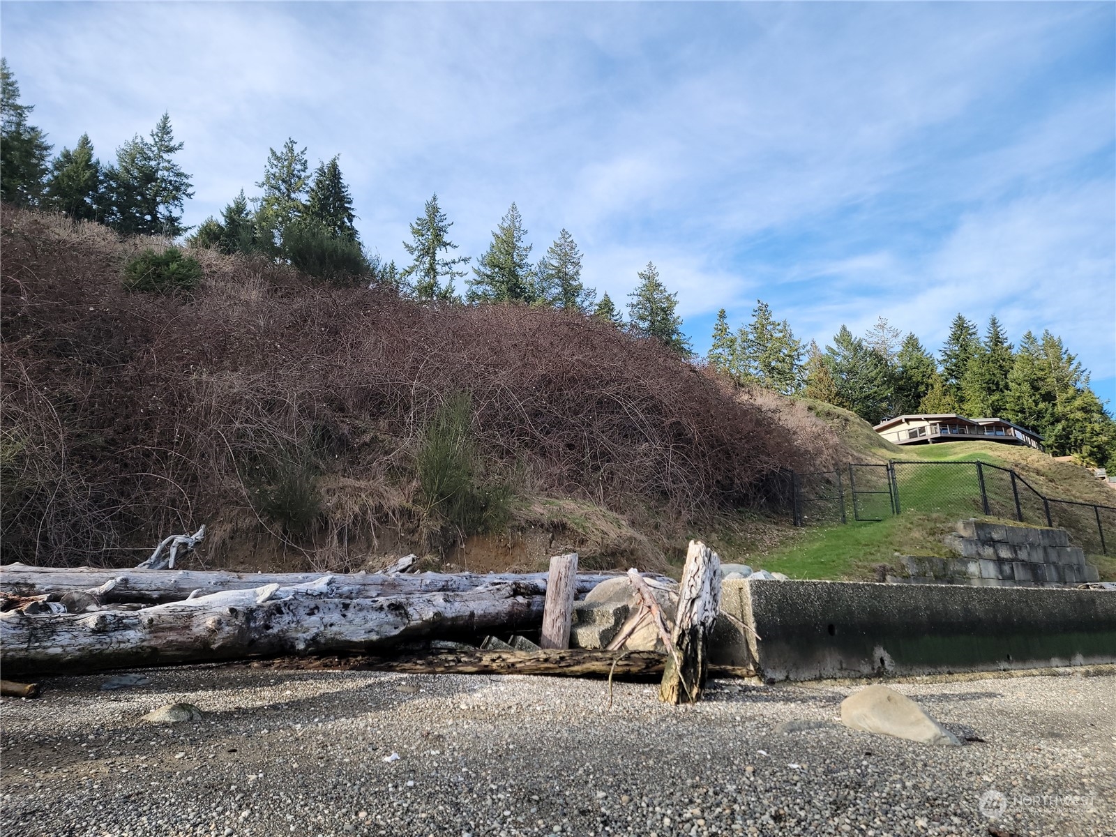 12922 Thomas Road Northwest Gig Harbor, WA 98329 - Photo 36 of 38 a view of a park with large trees