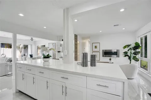 a kitchen with counter top space cabinets and potted plant