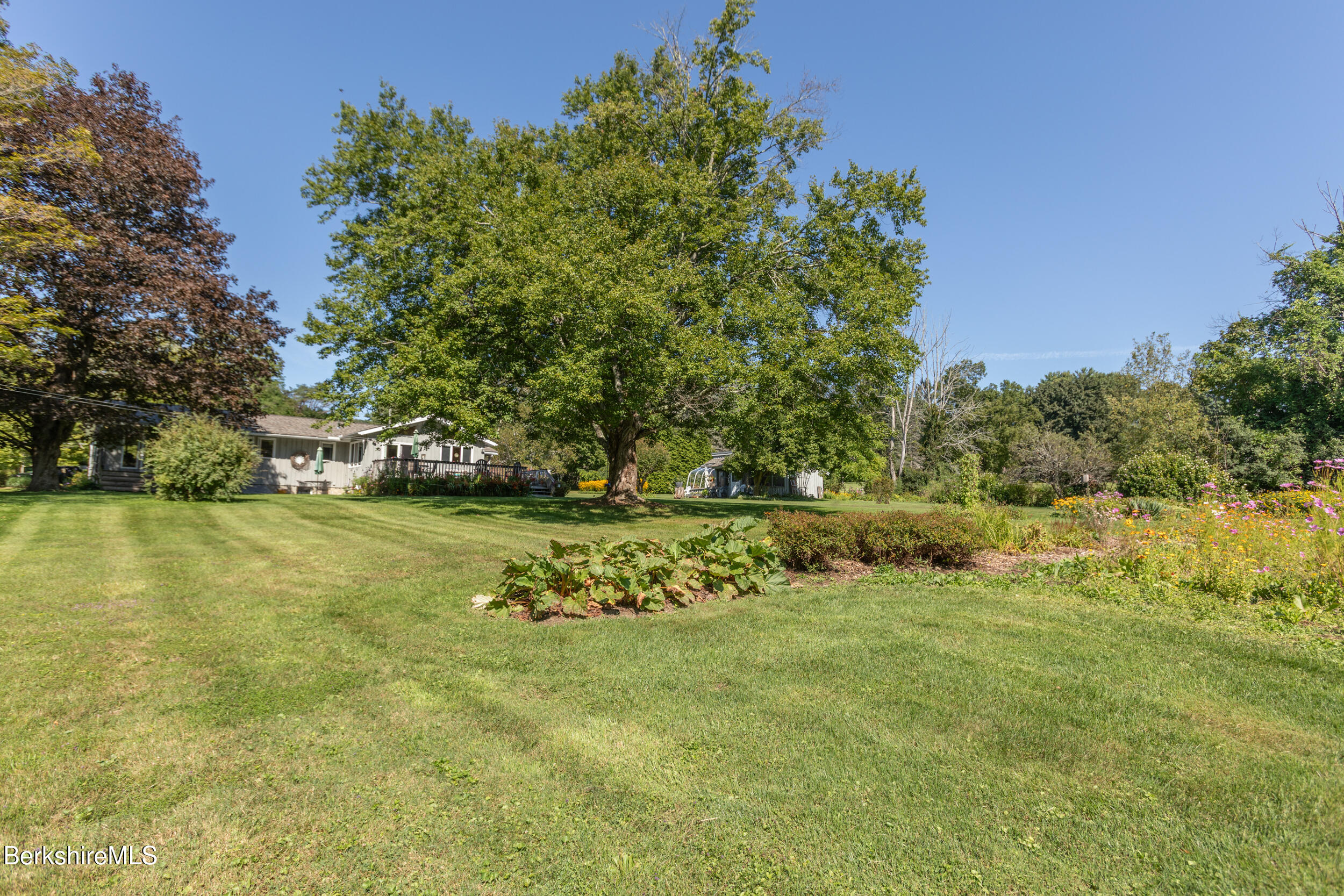 329 Dublin Road Richmond, MA 01201 - Photo 42 of 46 Backyard