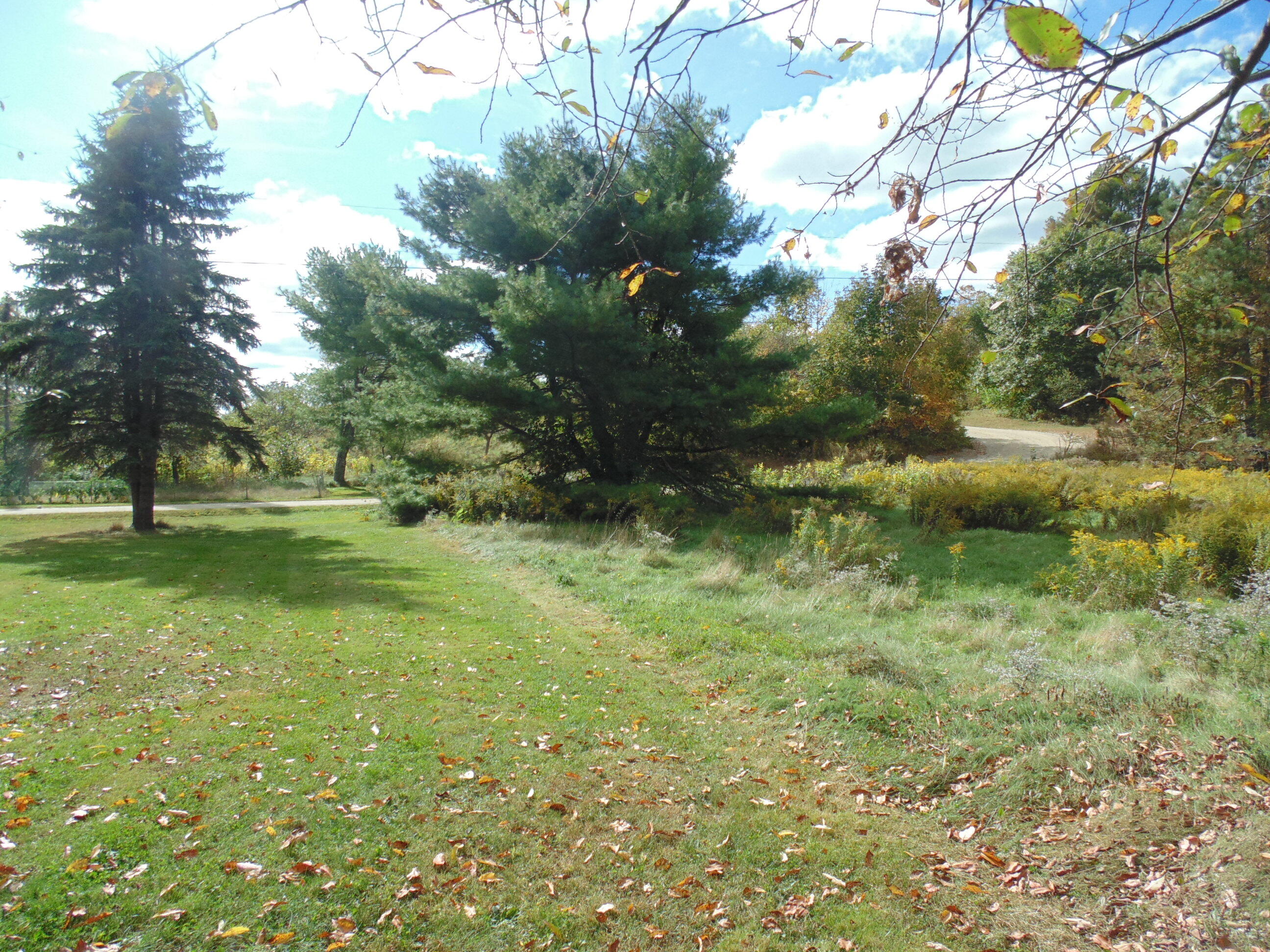 195 Monroe Road Winterport, ME 04496 - Photo 18 of 62 DSC08386