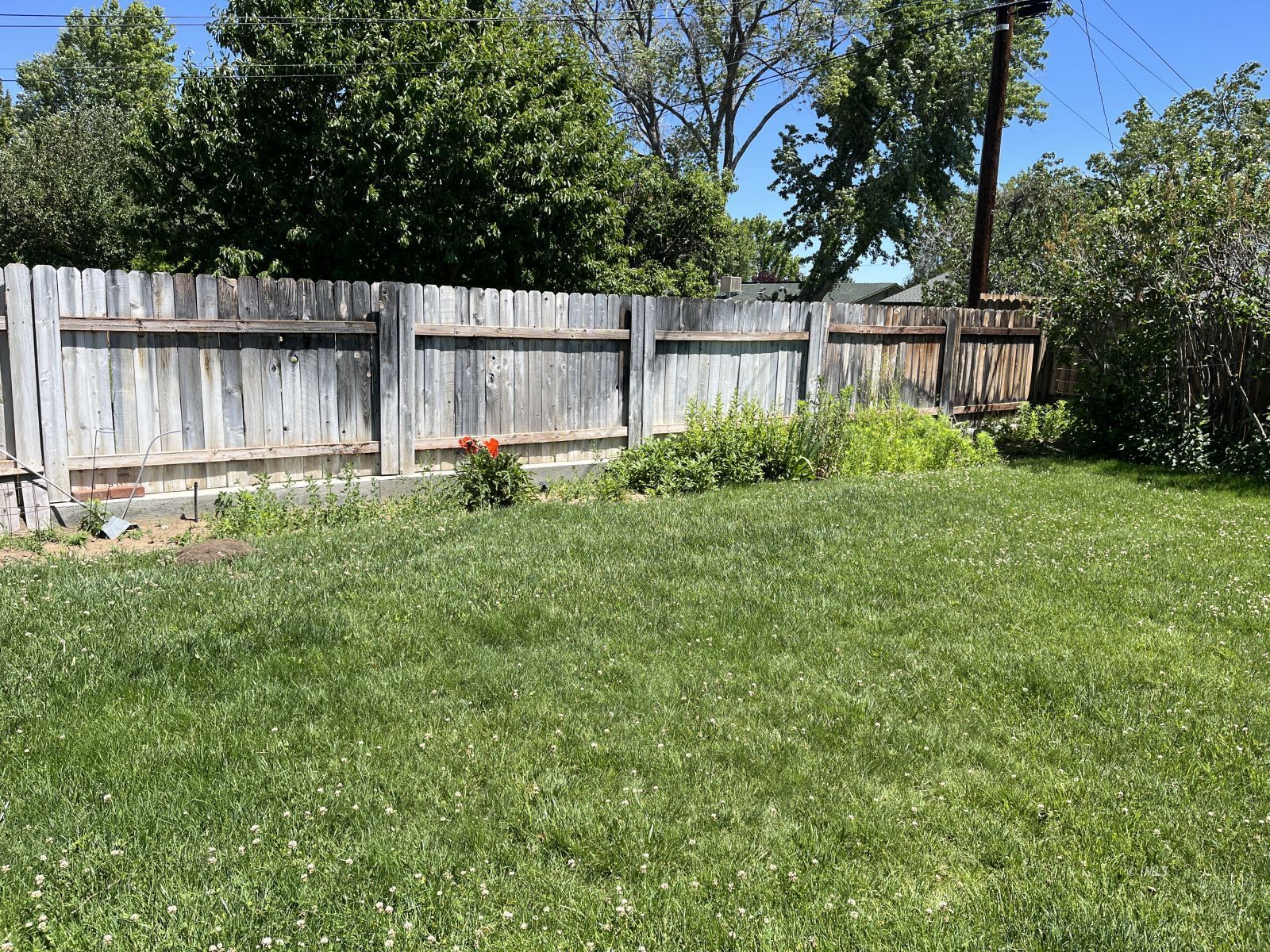 3012 Mesquite Road Bishop, CA 93514 - Photo 25 of 26 a backyard of a house with lots of green space