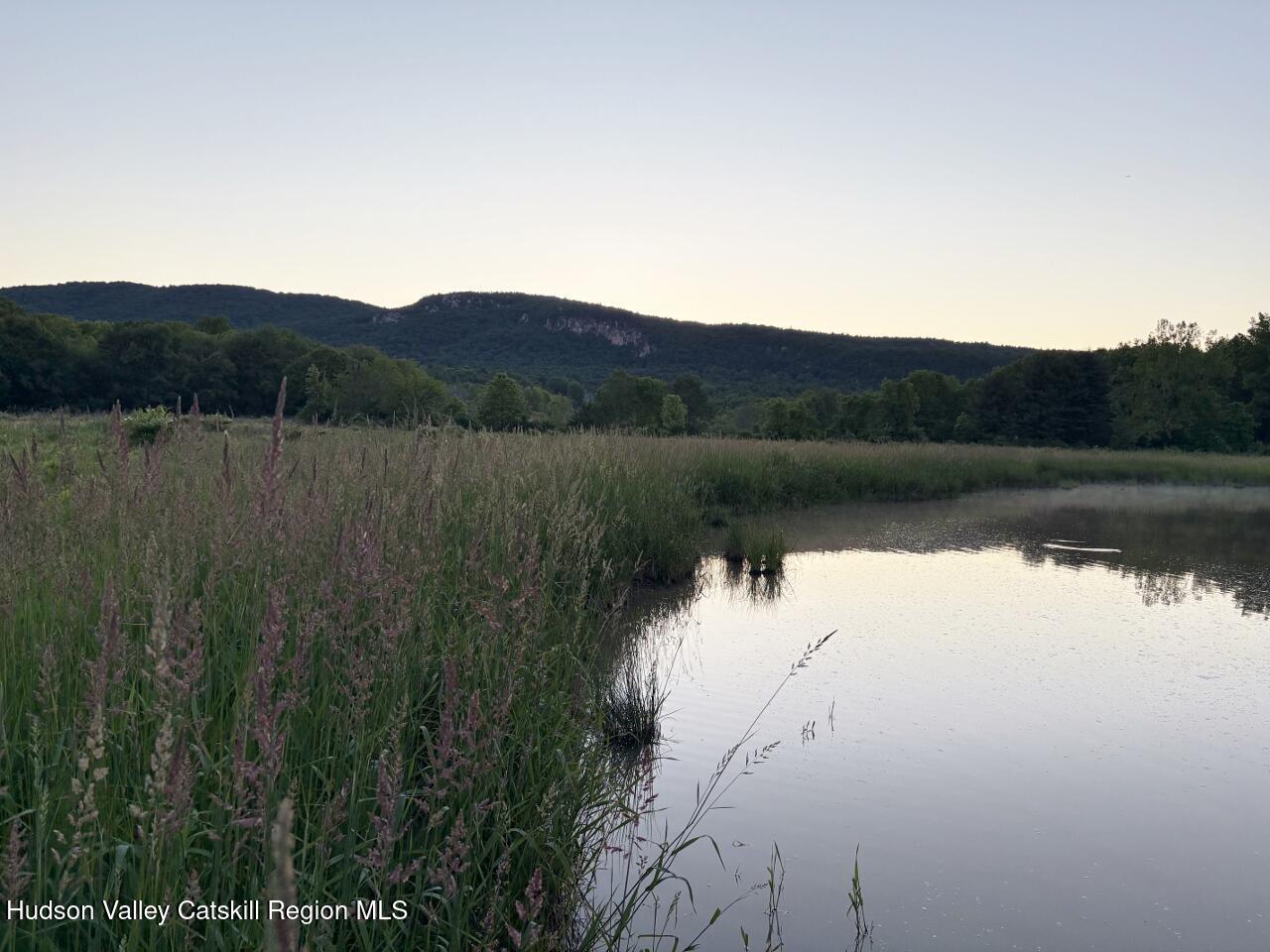 239 Springtown Road New Paltz, NY 12561 - Photo 12 of 42 Pond
