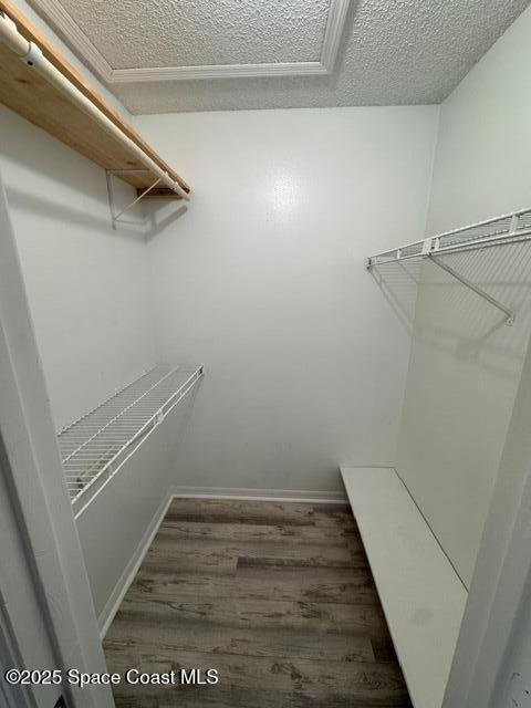 265 Spring Drive, Unit 3 Merritt Island, FL 32953 - Photo 15 of 24 image3 (2)
