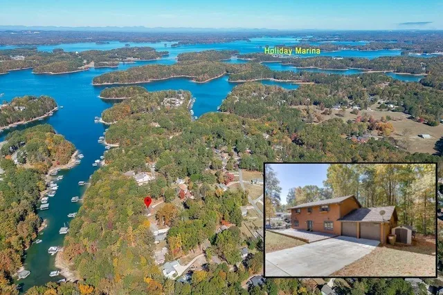 a view of a garden with a tree