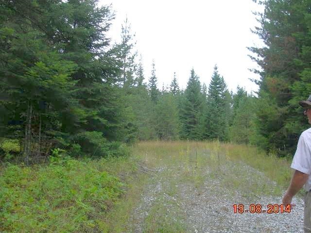 731 Levitch Road Newport, WA 99156 - Photo 2 of 15